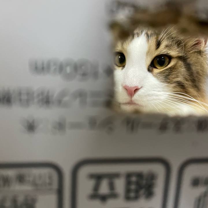 150ff187 efc0 47c8 8ba0 eab0fd2186ac 1638875615960