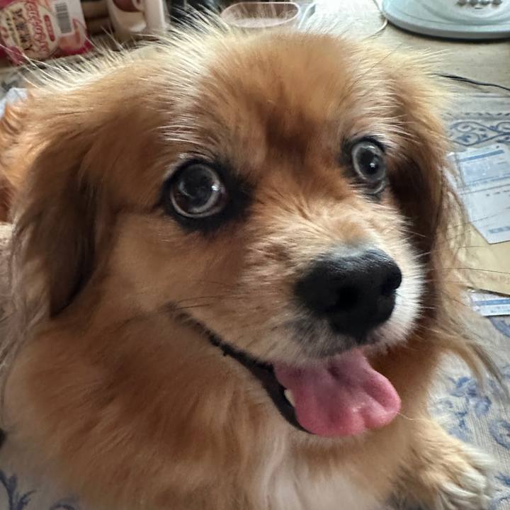 15101837 ba96 4c82 8141 97af45d819e4 1751837649537