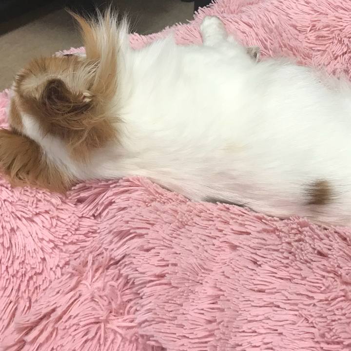 15102d3d bd5d 42ae 886e 3cb3a6ad5126 1567774585234