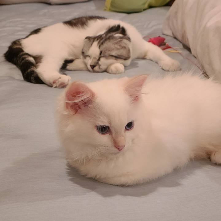 15106236 62c8 45d7 ad9e 58bc9ca00c77 1655202808647