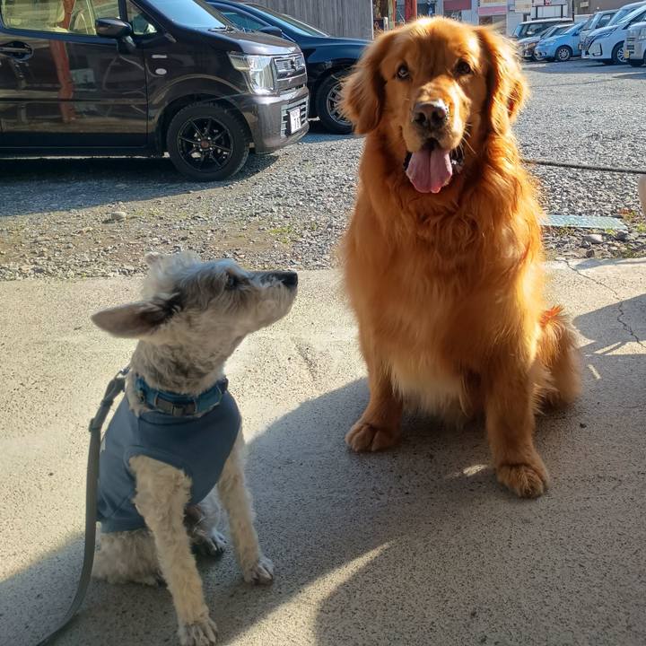 151083c3 5af2 42e2 8a25 501cd89f77ec 1774614088582