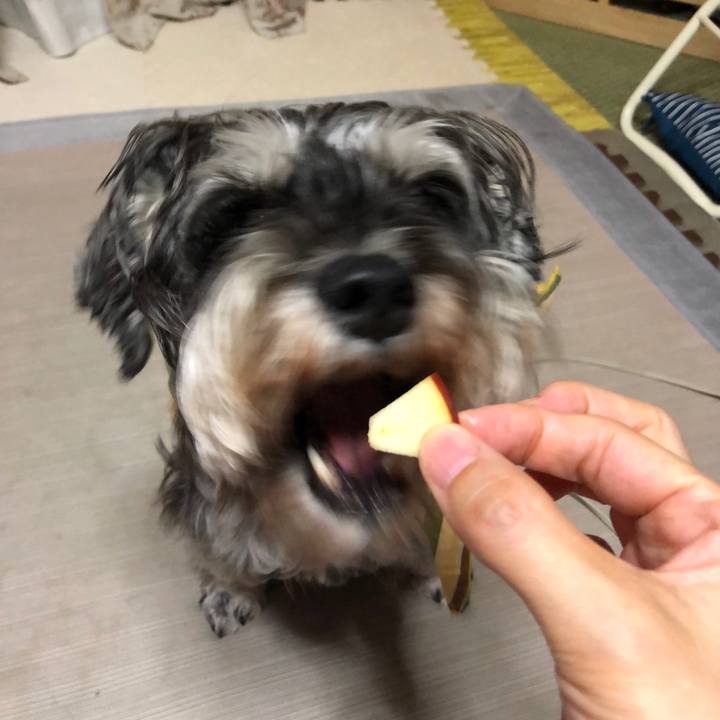 151084b2 7938 4c0f 9527 08b99bff8406 1627334024010