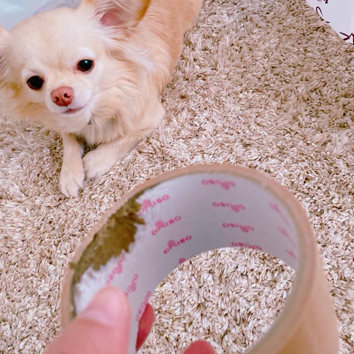 1510a1b7 83b2 4b56 a7ec f6b669164c30 1643454117829