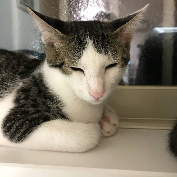 1511076c defb 44fd 98d4 3d9b5c940414 1536139365080