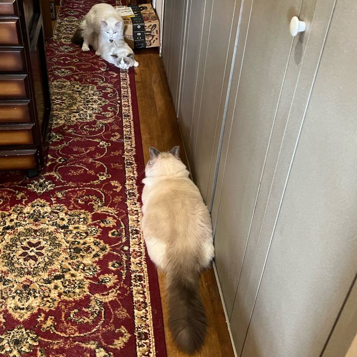 15112e89 3239 4614 9f42 51a54016fef1 1660530205996