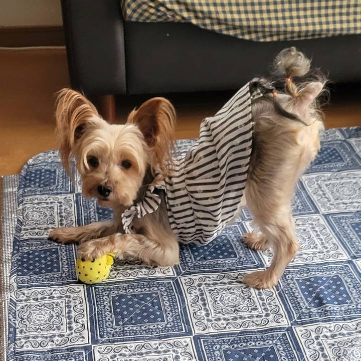 15112ffe ee7c 4e1f a364 623b16c42f1f 1661414183638