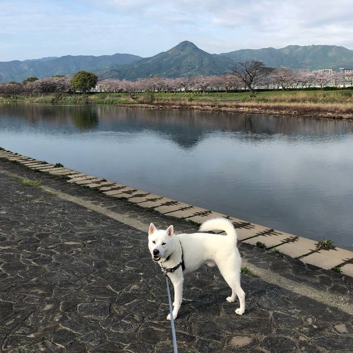 151135e1 aeac 4625 a50c 5086332ae848 1585609576441