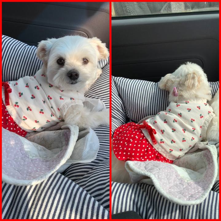 151140fd 51cc 4756 baf4 d8e6965e6e70 1616834137128