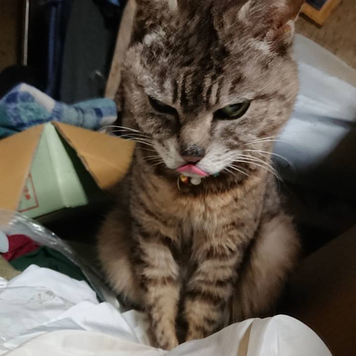 15114829 14d1 48a3 b947 0a2726a4293b 1560074816374