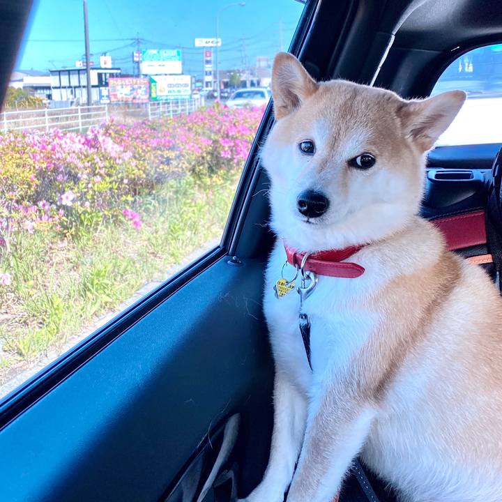 1511706a cedc 4dc2 81a4 365742e2cf55 1587308820011