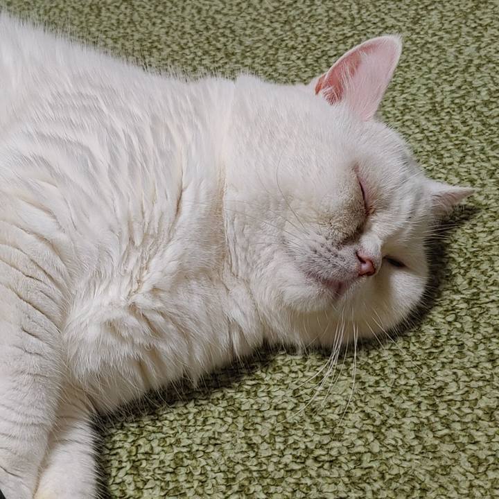 1511825c 4124 4d57 af1d 51ef2280b6ad 1695552837626