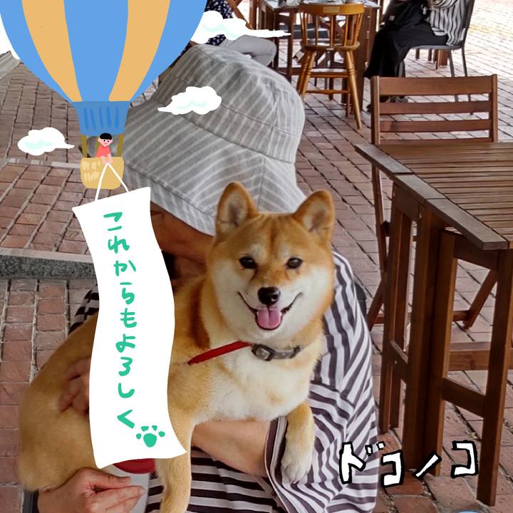 1511c422 0fd7 44ae 9b92 53b90f00e9d3 1685933839990