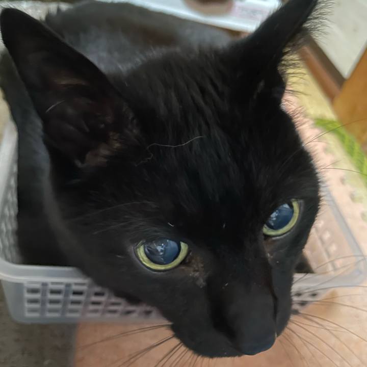 1511eefb 5cf7 405a 97eb 5df9441c6b55 1652230997082