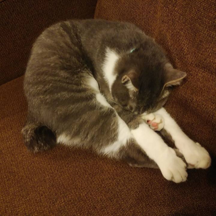 15120cad 1106 45c0 a726 e2f3f552b76d 1590051607657