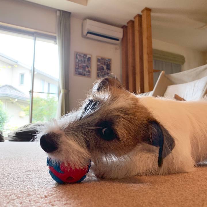 15127e53 ac49 4256 a1e3 0fc8928e9787 1566544659683