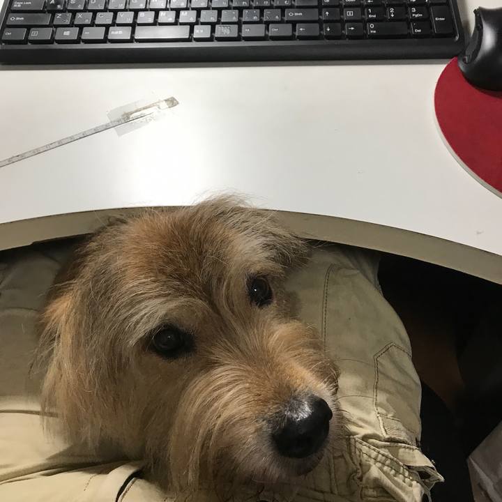 1512fca1 ccb7 4a00 86fa c265f241e308 1592796928433