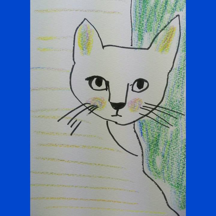 151347b9 8034 4f9c 9f43 0d48e01231fc 1529651769603