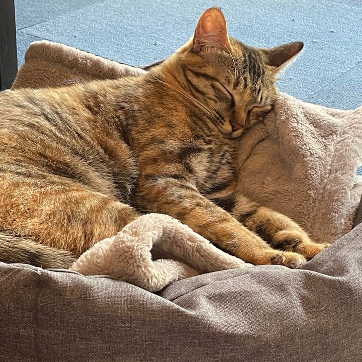 151370a3 f994 47d4 9224 fbdd7013791d 1755779951702