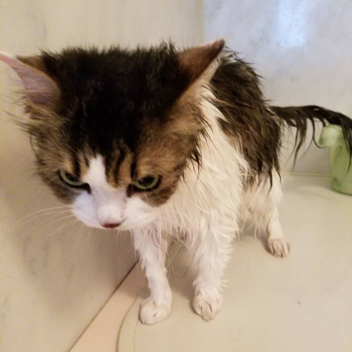 15138f85 3339 477c a01d c00ba2b170f3 1535256056278