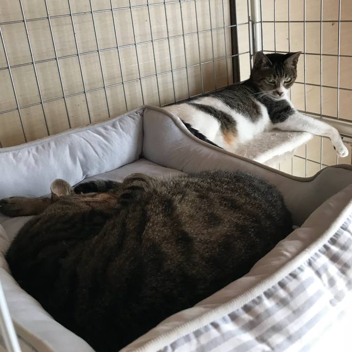 1513b28b 9188 4647 b5e2 cb72deed3498 1535068951088