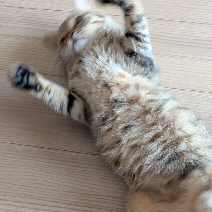 1513fbe5 4083 4756 b026 1bef67db4af6 1764893928385