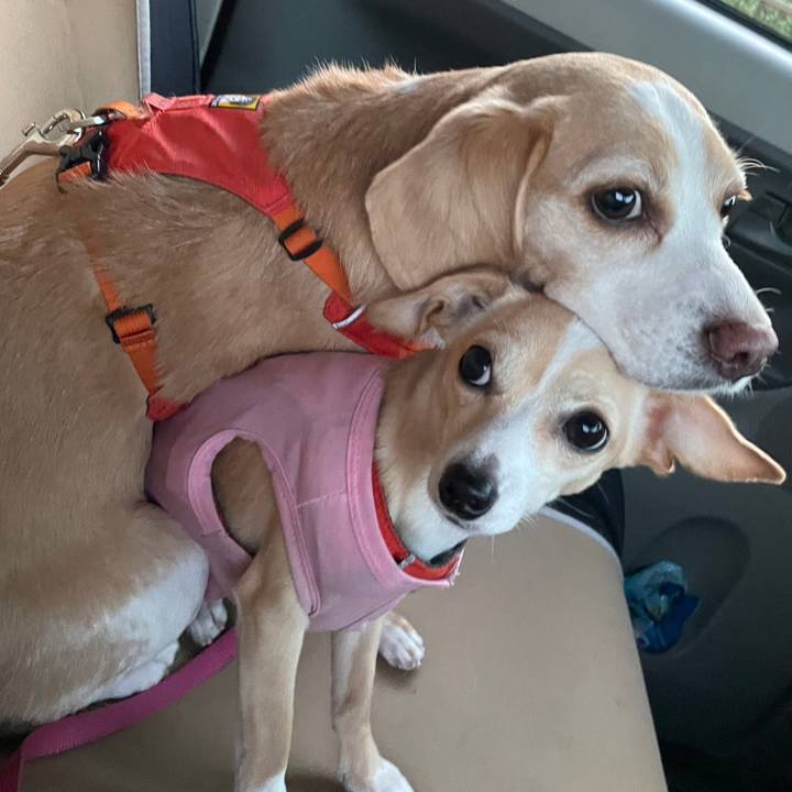 15140751 00bd 4697 a5c8 11ad2145f3e9 1684992702967