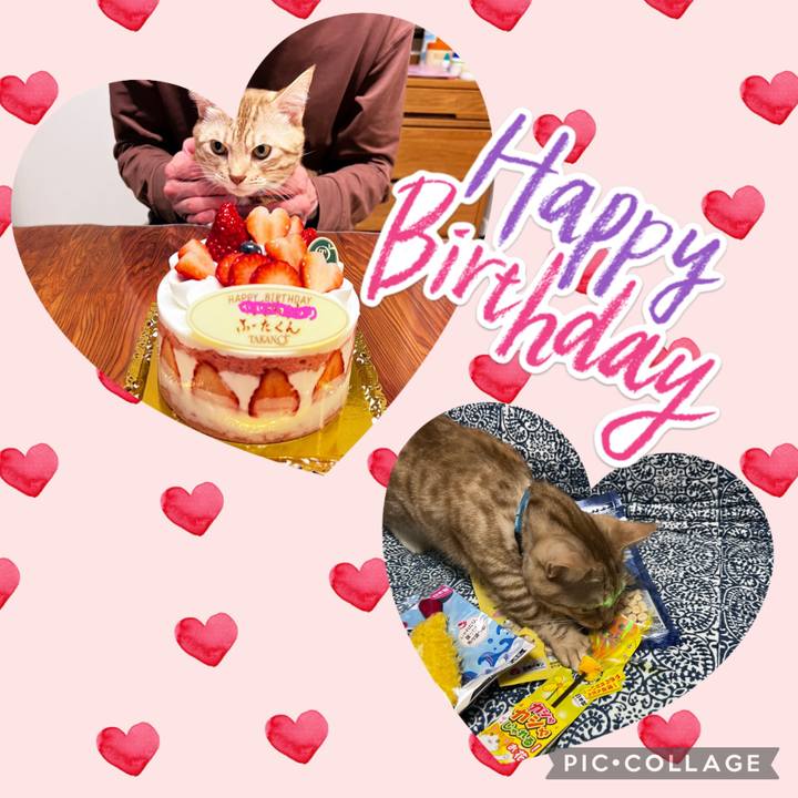 151446c6 9c21 4141 9e7c 291036f56b10 1704495659941