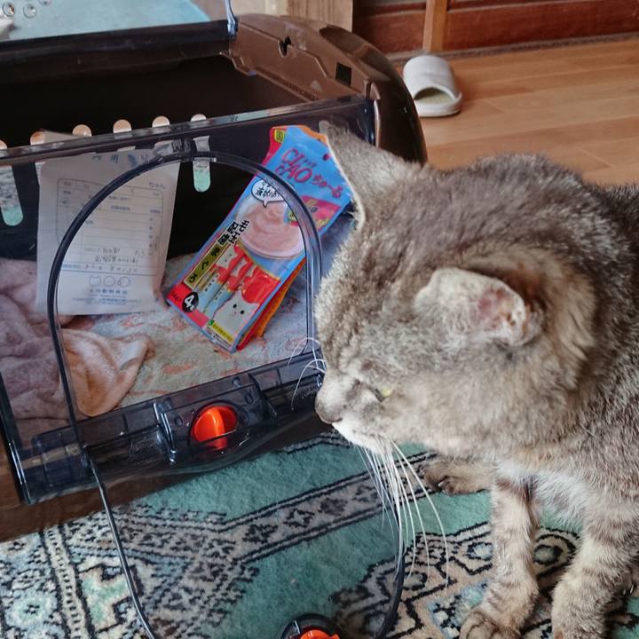 1514be90 ff23 4b35 b16e 5f8855801b34 1597292593375