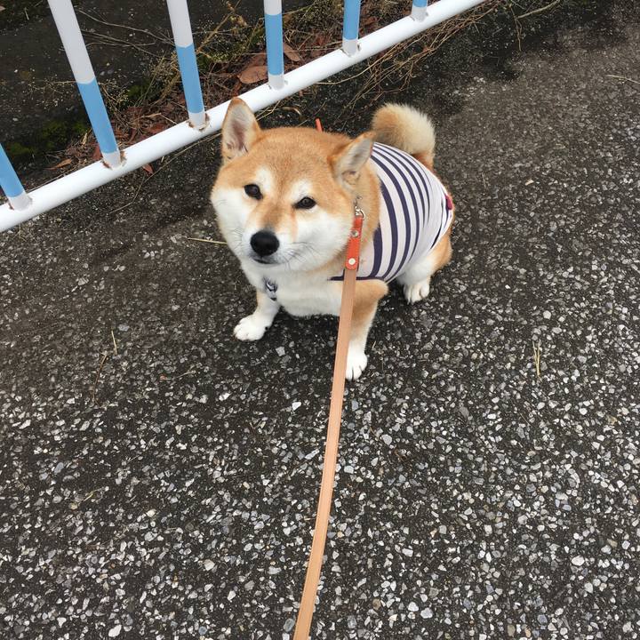 1514beae d56a 467e b8af b830d01c7c53 1562546910631