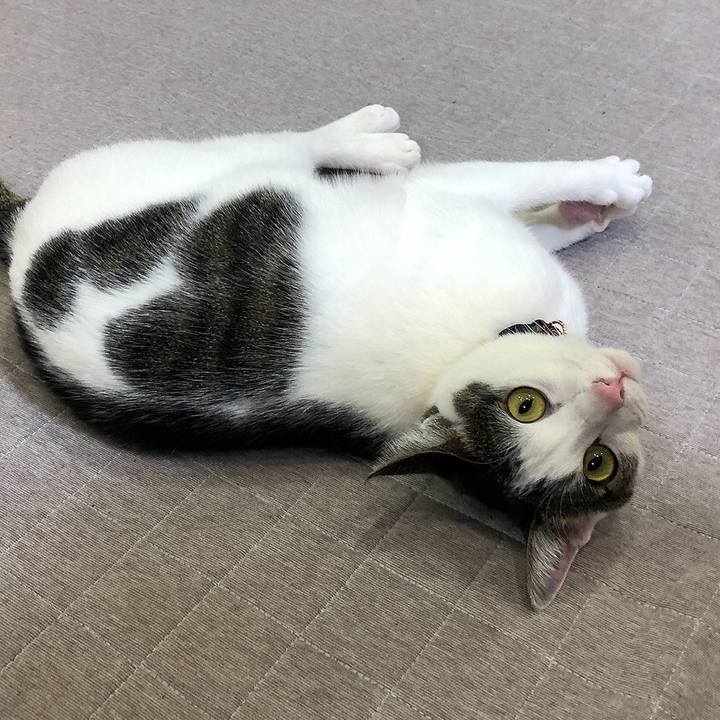 1514dcaa 42ce 4077 96ac 02b0ff6ae8fc 1644837985419