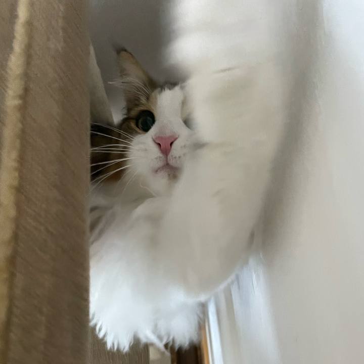 1514e5cc 31d5 4475 9e79 a492be529b98 1680377459335