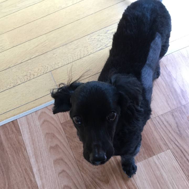 1514f324 7f13 4177 8af2 12b83cddb179 1508387458534