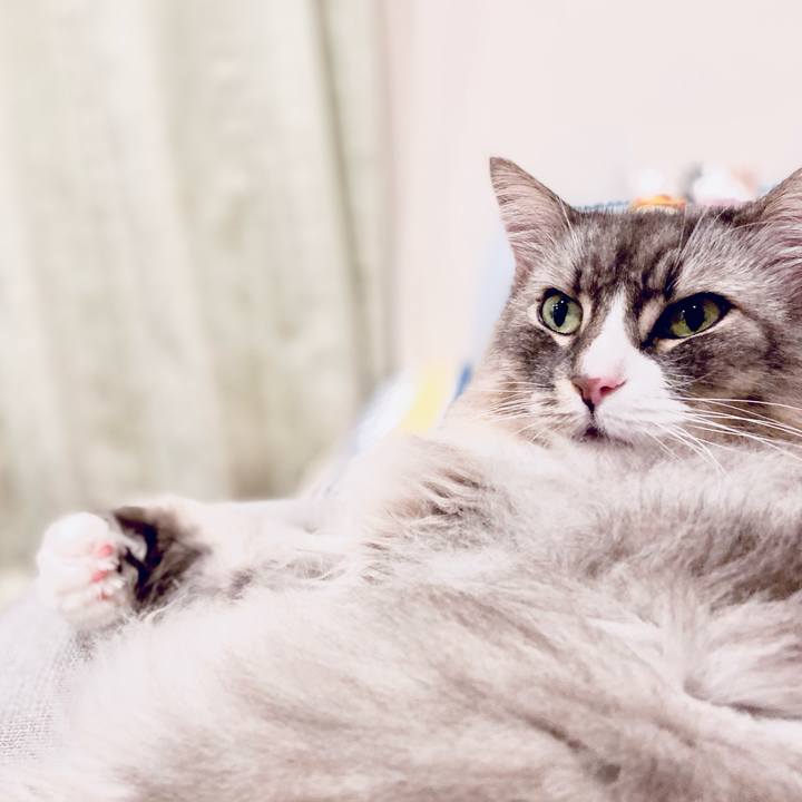 1514f7e3 2002 4802 bb6d 674556ff6110 1758383528330