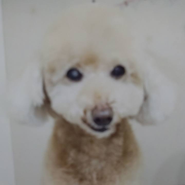 15151813 b03a 47d3 8be4 25b57a61ddc2 1671368425452