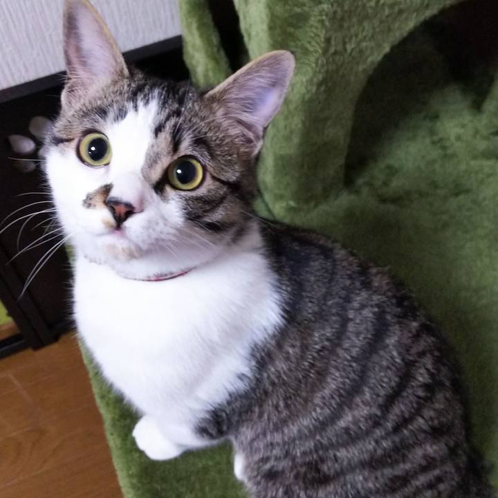 1515bd9d 11f3 42e8 8ed8 e7332f3782d4 1616860278683