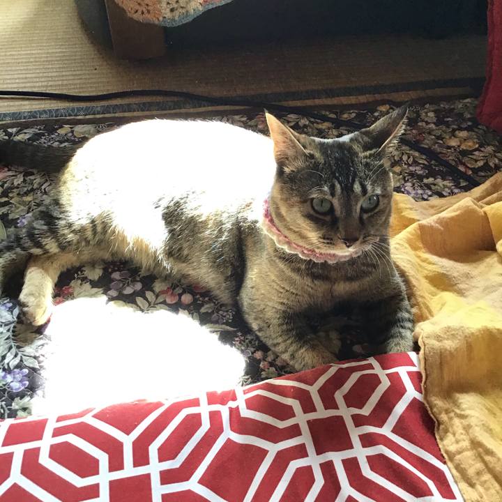 1515ce5b 2fe3 44f8 bf8e 96cb416221f7 1619739172130