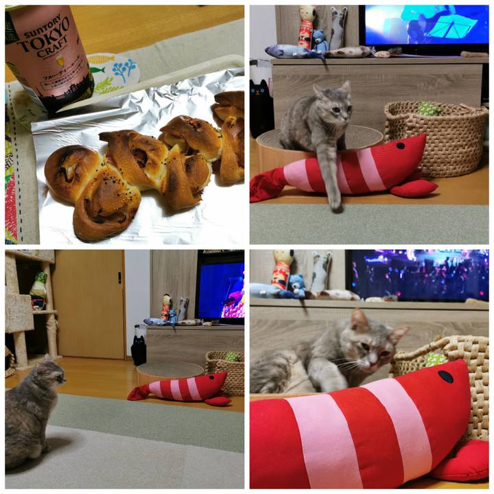 1515dd7f 4e51 4ff0 ae35 48b594c6f870 1640779921606