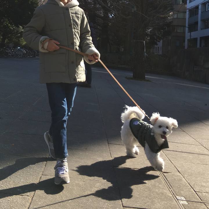 15160038 178d 43c0 8e0f 6247efaa039e 1514619624918