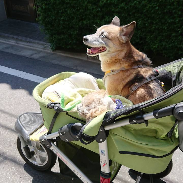 15160422 7b7c 485a 9e80 3ad71d138fc5 1525404099892