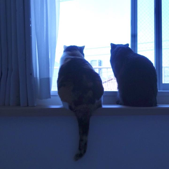 151629bc 05b6 4d6e 92cf 09a85f2d691c 1520433289093