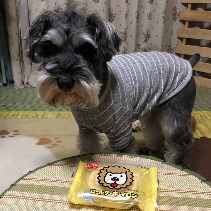 15163653 a078 4ea2 8aa8 beb767ed606c 1545488695308