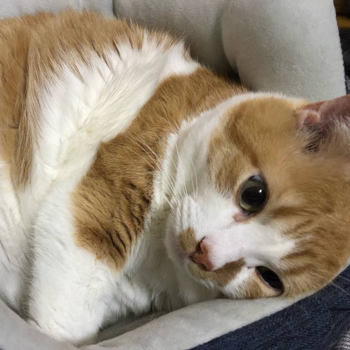 151640a9 cd36 4b12 ade5 05b3b0ca6664 1519654240207