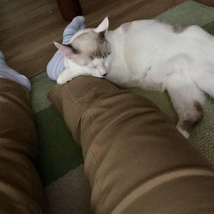 15164acc 0653 4d9d 9dca e90106850444 1539158627875