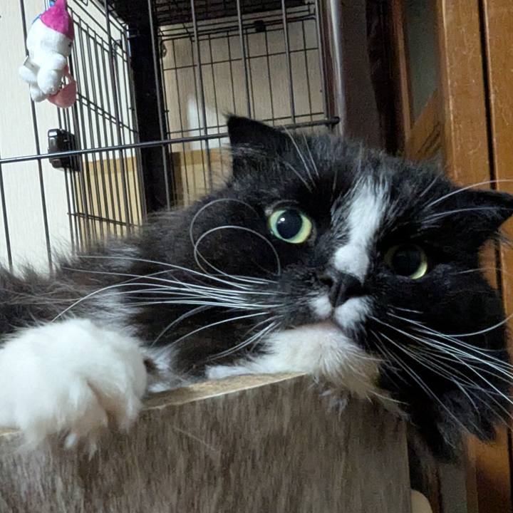 15169af9 ced9 4f1e b70a 312df186cbe2 1748991014403