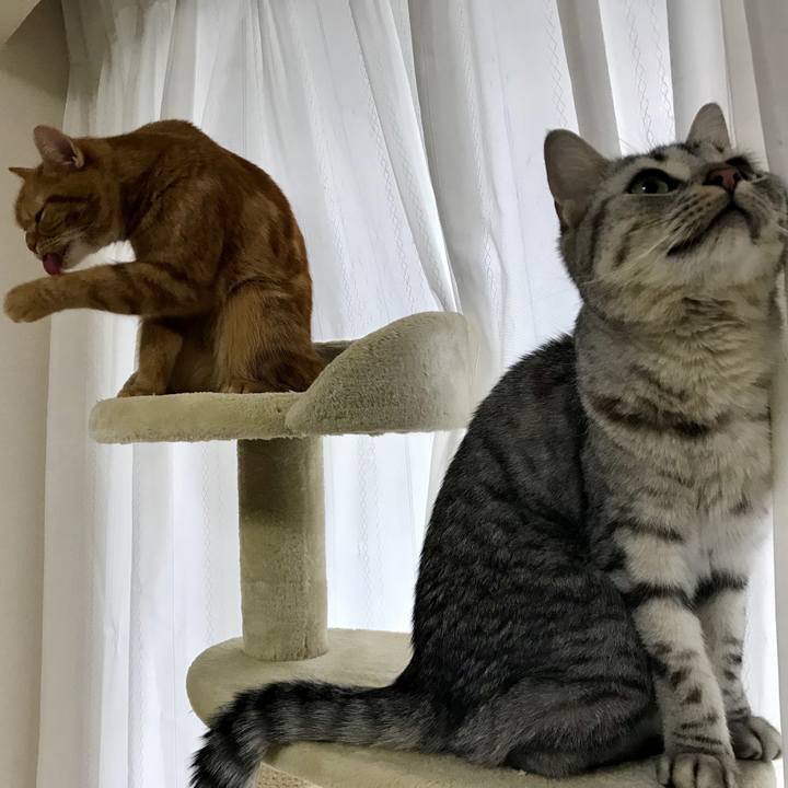 15169b97 8c45 4be7 bb30 0ff722d27070 1515374577004