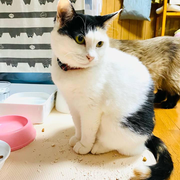 1516c517 7959 4a0a 8608 2e936b150f34 1693433106831