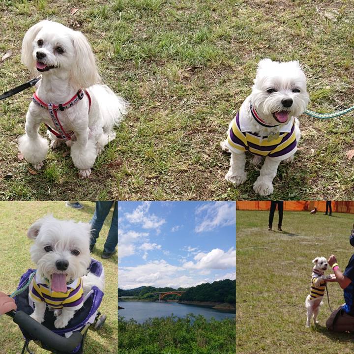 15172a2e 7e79 4d50 8802 f0618c336511 1621769264846