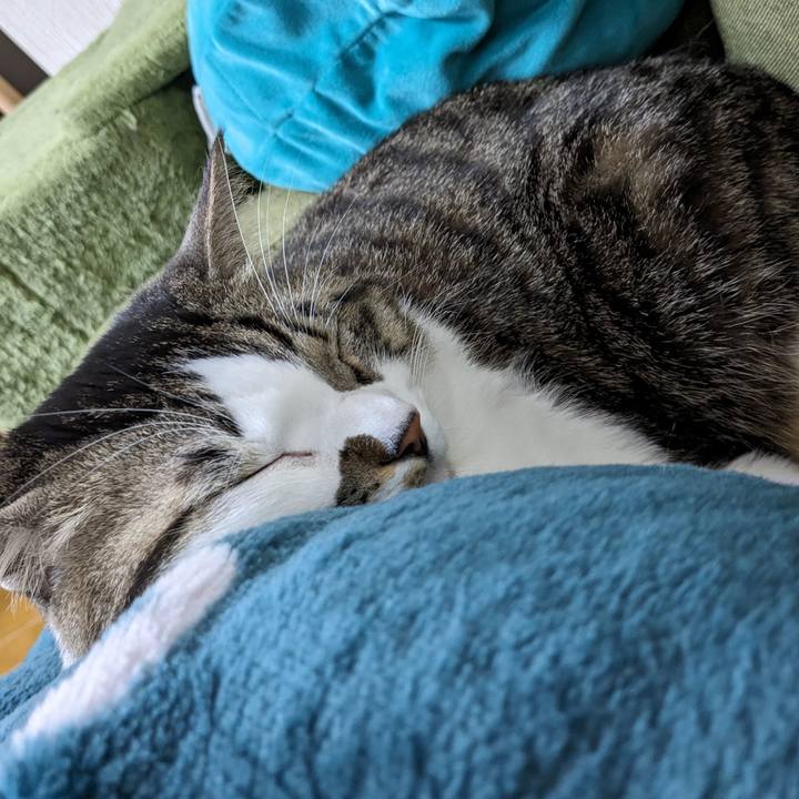 1517c2a4 5a71 4096 bd13 44375efbc4cf 1705392057896