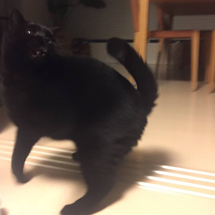 1517ecf0 210d 483c 8725 30bcad54f521 1533647047125