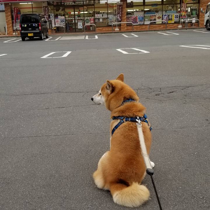 1517efd8 8743 4263 99f3 dfebf272e658 1543387359595